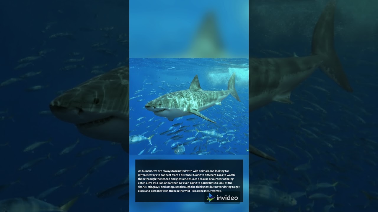 Top 10 Unusual Pet Companions YouTube