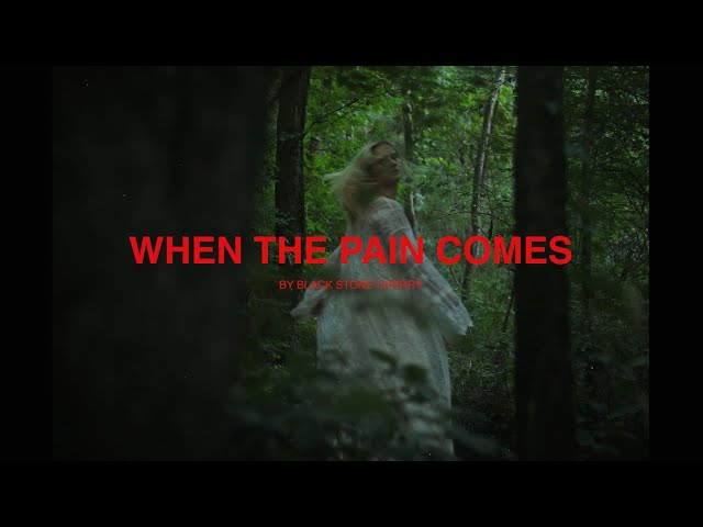 Black Stone Cherry - When The Pain Comes