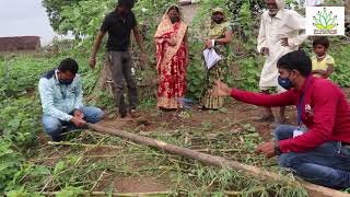 Kite Poshan Badi - Spandan Khandwa