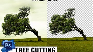 Photoshop Tutorial || How to Cut Out a Tree in Photoshop || Advance Selection ||  Mask Production