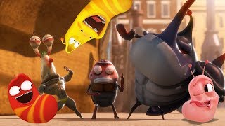 larva the dance off cartoons for children larva official