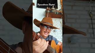 viciado em internet #dependenciadigital #modadeviola #sertanejo #musica #somodao #caipira