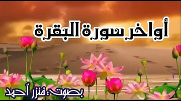 تلاوة مباركة لأواخر سورة البقرة/لا تضيع فرصة الاستماع لهذا المقطع/دعواتكم