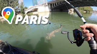 DES MONSTRES d'eau douce en PLEIN PARIS ! Feat Franck (pêche du silure) BIG CATFISH in PARIS