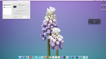 zebra GK420d  installation mac Setup your Zebra printer on your Mac in quickly