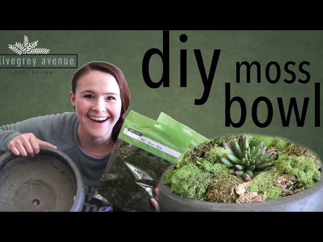 How To Make A DIY Moss Bowl (Easy Spring Home Decor) - Making