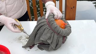 Simple  from old cheap combined with cement - How to make a very beautiful flower vase eye