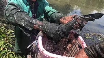 lưới cá sông và cái kết / hai lúa nhà quê / 27