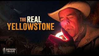 The Real Yellowstone | When Ranchers, Wildlife & Conservation Collide