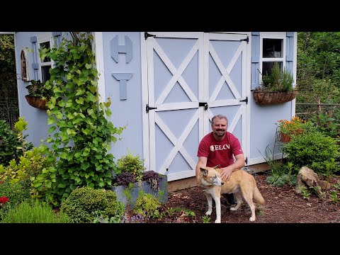 Video: Wat is ertjielote - ertjielote in die tuin en hoe om ertjielote te gebruik