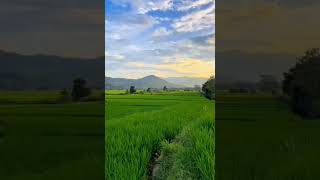 Download Mp3 Lagu - inget ka mantan mp3 Gudang lagu Download Mp3 Lagu - inget ka mantan mp3