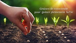 🌱 Graines de conscience pour goûter pleinement la vie