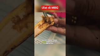 Download Lagu Belatung di Menu MBG😱‼️#mbg #makanbergizigratis #prabowo #gibran MP3