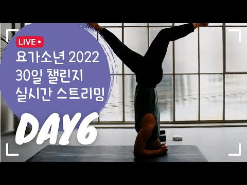 6일차 | 30분 디톡스 요가 | 2022 30일 요가 챌린지