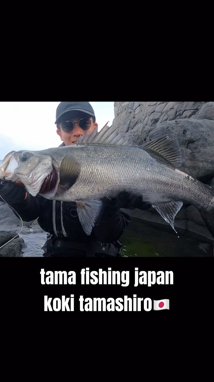 Targeting seabass from rocky shores in Japan. - YouTube