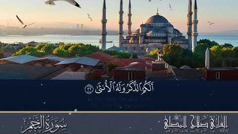 القرأن الكريم سورة النجم بصوت جميل بدون حقوق صلاح المصلي ✨🍃