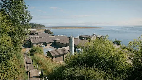 New Technology Stores Carbon in the Ocean—Without Adding Acid