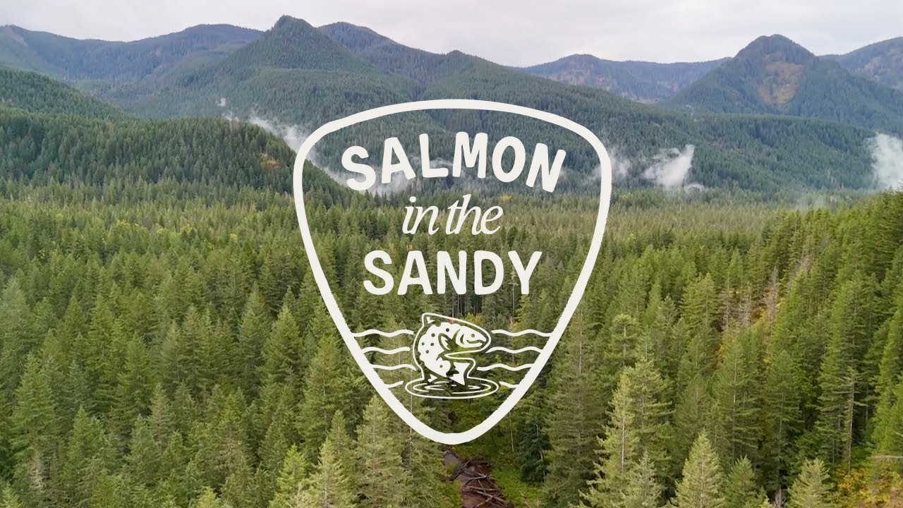 Salmon in the Sandy | Wyld Works x The Freshwater Trust