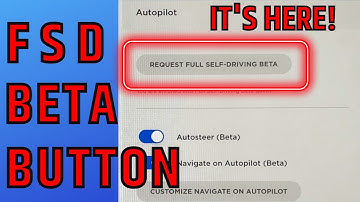 First look at the  FSD beta Button!