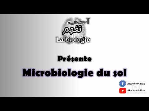 Vidéo: Différence Entre La Fermentation Aérobie Et Anaérobie