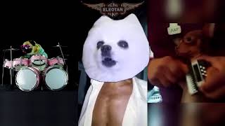 GUITARRA HUMANA em CACHORRÊS screenshot 5