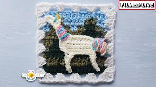 From Horse To Unicorn - Whimsical Crochet Applique - April 13, 2026