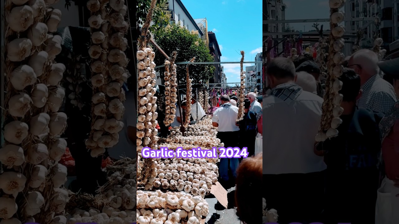 Garlic festival 2024 