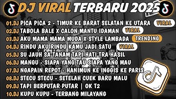 DJ TIKTOK TERBARU 2025🎵DJ PICA PICA 2 - TIMUR KEBARA SELATAN KE UTARA🎵DJ TABOLA BALE X MANTU IDAMAN🔥