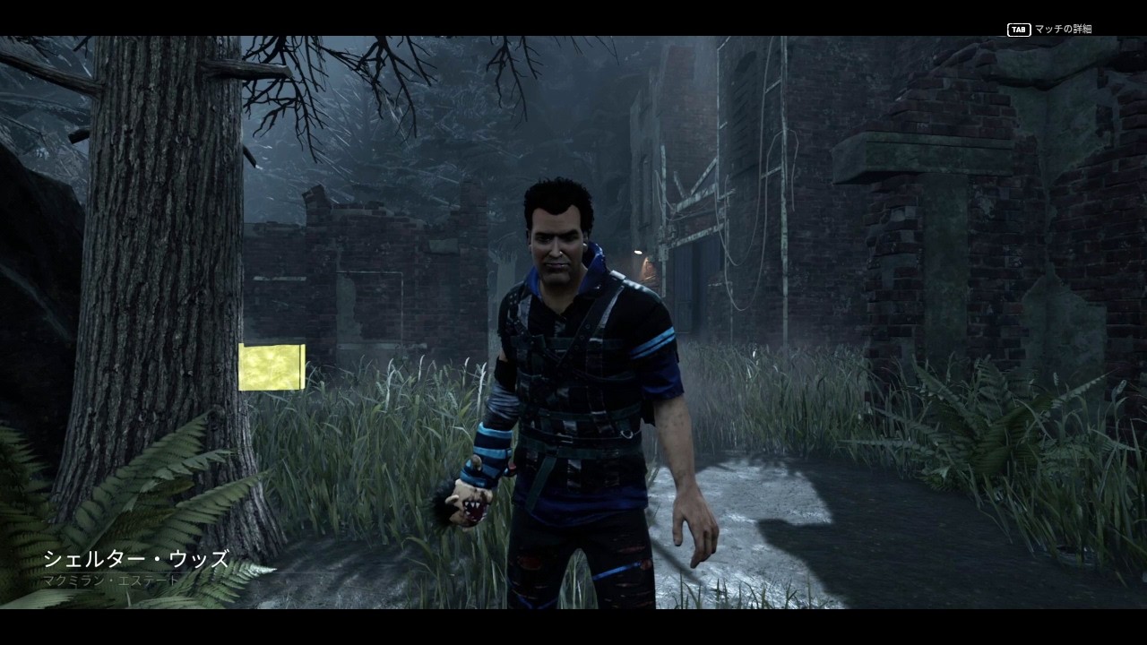 気合通電【DbD】S8#60