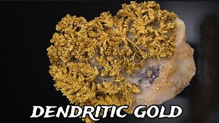 English fairy gold ! Dendritic gold in calcite and fossilised coral reef #gold #goldprospecting by ONE MAN AND HIS PAN 936 views 1 year ago 5 minutes, 23 seconds