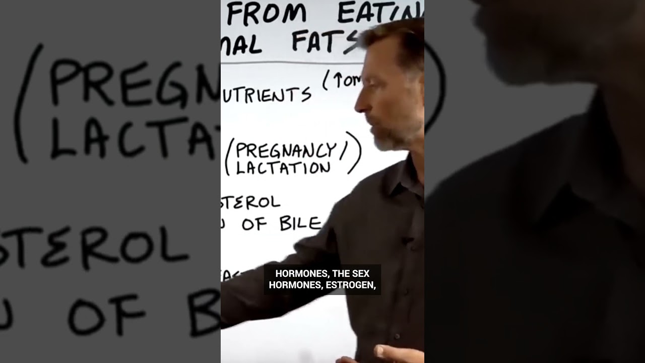 Dr. Berg explains how saturated animal fat help with IF 