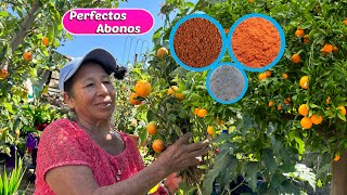 Utiliza estos TRES Excelentes ABONOS para los Arboles Frutales y Mejorar su Desarrollo y Floracion