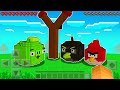 ANGRY BIRDS NO MINECRAFT POCKET EDITION !! - Minecraft PE Angry Birds