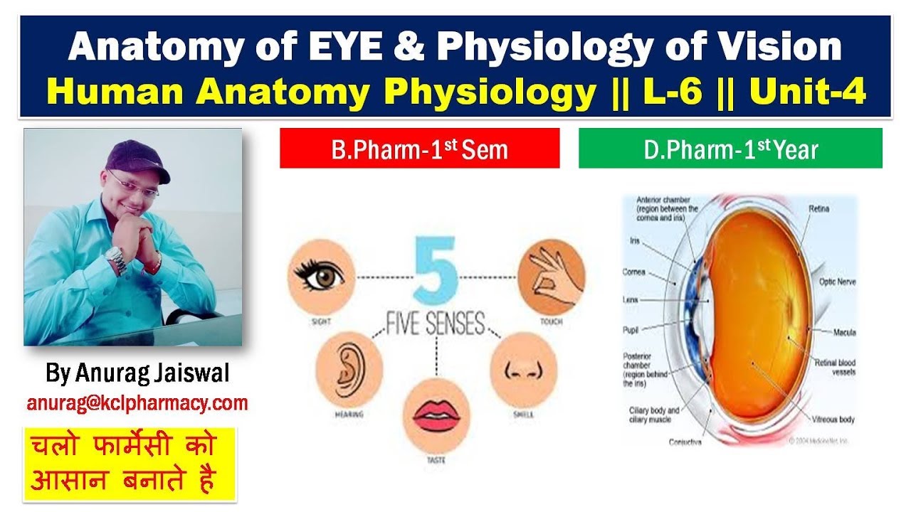 Anatomy of EYE & Physiology of Vision  L6 Unit4  HAP  YouTube