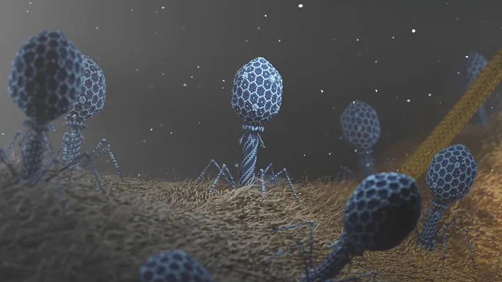 T4 Phage attacking E.coli - DayDayNews