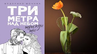 Три метра над небом. Трижды ты. Любовный роман (Федерико Моччиа) Аудиокнига