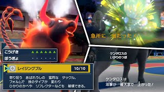 知らなきゃ一瞬で負ける「パルデアケンタロス」の専用技がヤバい…かも【ポケモンSV】