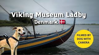 Dog walk in the Viking Museum Ladby Denmark | Dog GoPro camera Adventure