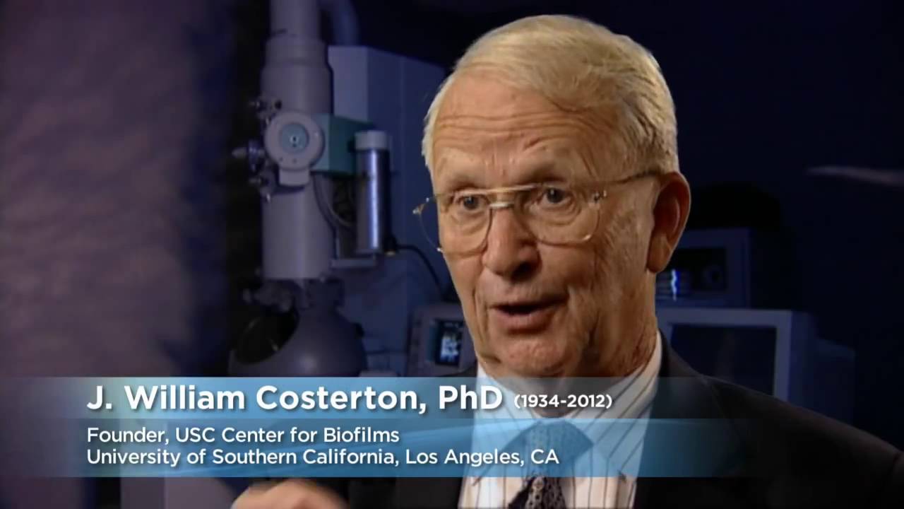 Waterpik Showerpik Water Flosser WP 480 -  Bathroom-Trends.com