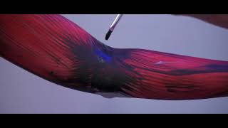 2020 Anatomy Fashion Show Promo | UW Phi Delta Epsilon AFS Video