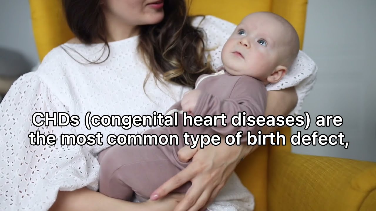 [MAILab] AI Echo for CHD