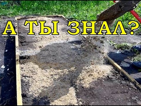 Видео: На твердой почве в смысле?