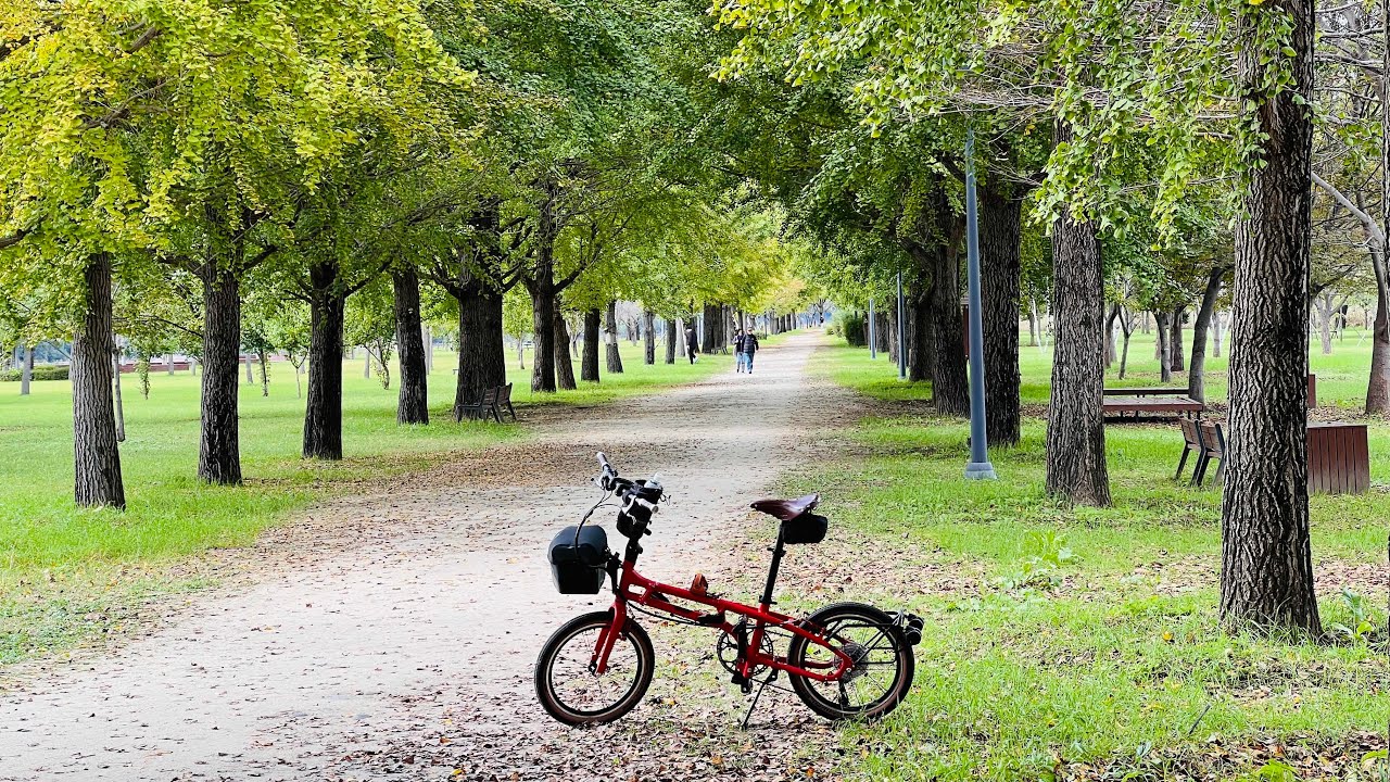 TERN BYB P10 지하철 점프