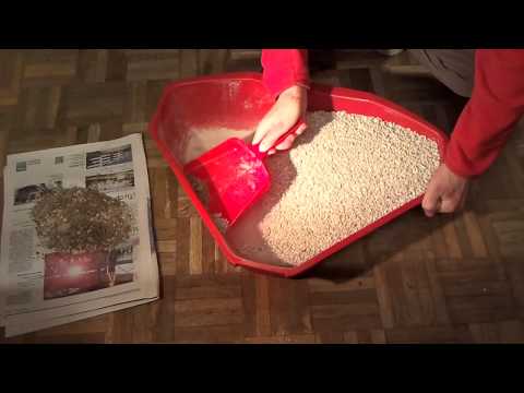 Video: Consejos Para Limpiar Una Caja De Arena