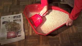 Limpiar caja de gatos  Caja de arena