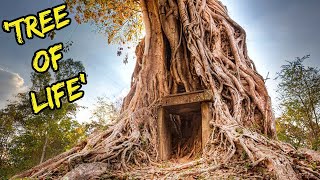 Top 10 Secret Places In The World Hiding in Plain Sight