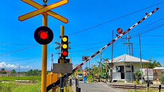 Perlintasan Unik Kereta Api Politeknik Banyuwangi, Jawa Timur