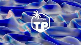 Pascal Letoublon x David Puentez x remme - Somebody To Miss (Extended Mix)