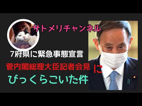 【菅内閣総理大臣記者会見】を見てびっくらこいた件
