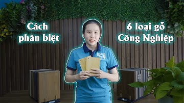 CÁCH PHÂN BIỆT 6 LOẠI GỖ CÔNG NGHIỆP | KDESIGN